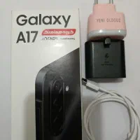 a17
