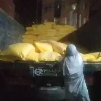 نیرو زرنگ