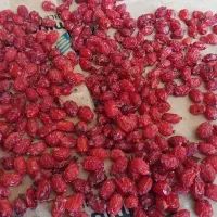 خرید وفروش زرشک