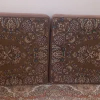 ۲جفت پشتی موشی