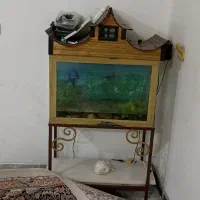 اکواریم اکفار