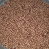 لوبیا چیتی زودپخت