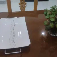دیس پذیرایی.گوشتکوب برقی.دیس ماهی
