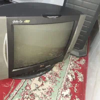تلویزیون