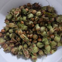 فندوق تازه ییلاقات