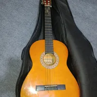 گیتار خارجی ZINN