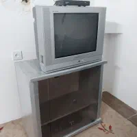 تلویزیون