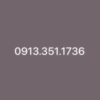 09133511736