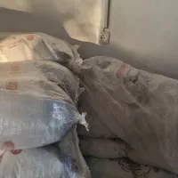 برنج پاکستانی تعداد محدود