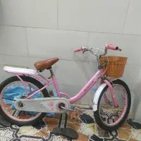 دوچرخه 20