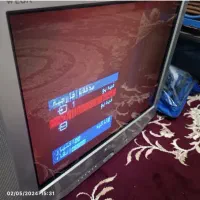تلوزیون