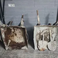 فرغون و بیل