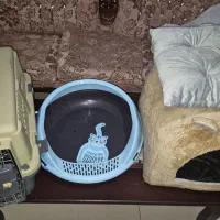 وسایل نگهداری گربه در حد نو