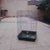قفس پرنده