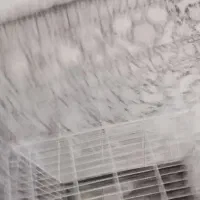 قفس پرنده