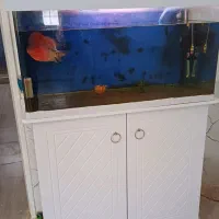 آکواریوم شیشه خم .