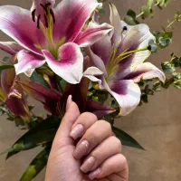 خدمات ناخن