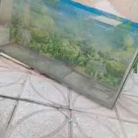 اکواریوم نو بدون هیچ ایرادی
