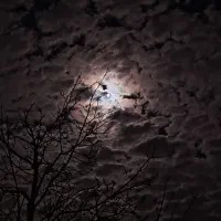 تبدیل هر نوع فیلم تصویری به صوتی