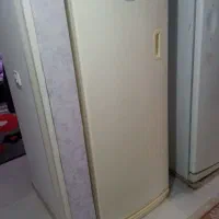 فریزر سایوان