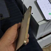 iphone 12 pro max|موبایل|سردشت, |دیوار