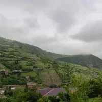 زمین در منطقه ییلاقی نیرس و بسطام