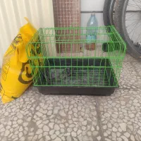فروش قفس خرگوش