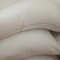 شکر