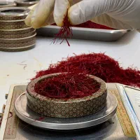 استخدام مدیرخانم با حقوق نود میلیون