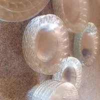ظروف پذیرایی کاملا سالم