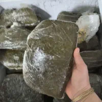 خضروات موجوده