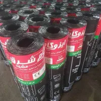 ایزوگام زارع منش