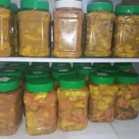 انواع اقسام ترشیجات خانگی و درجه یک با نهایت کیفیت