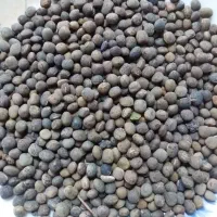 فروش قره دنه...