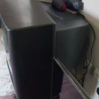 تلوزیون