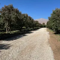 زمین دماوند ۲۶۰متر خوش قواره اقساط عالی