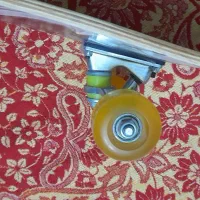 اسکیت برد نو