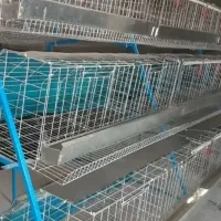 قفس مرغ تخم گذار درحد نو