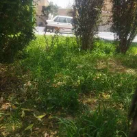 باغبانی