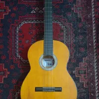 گیتاری نو بدون هیچ خشی