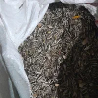خوراک دام وطیور(پوکه آفتابگردان)