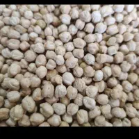 نخود درجه یک بوجاری شد تمیز مال امسال
