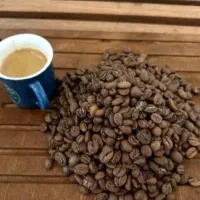 پخش عمده قهوه فله .شرکتی