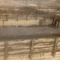 اسکلت