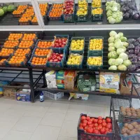 واگذاری-مغازه-میوه-فروشی