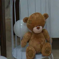 قفس کنار سالنی