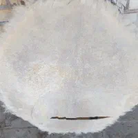 طبل 8گوش