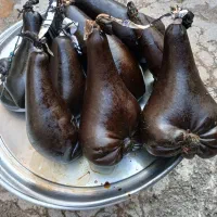 هیزه گوسفندی