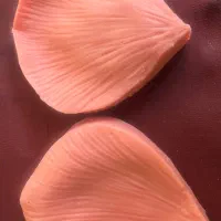وینر سیلیکون گل رز