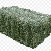 فروش بسته بندی یونجه